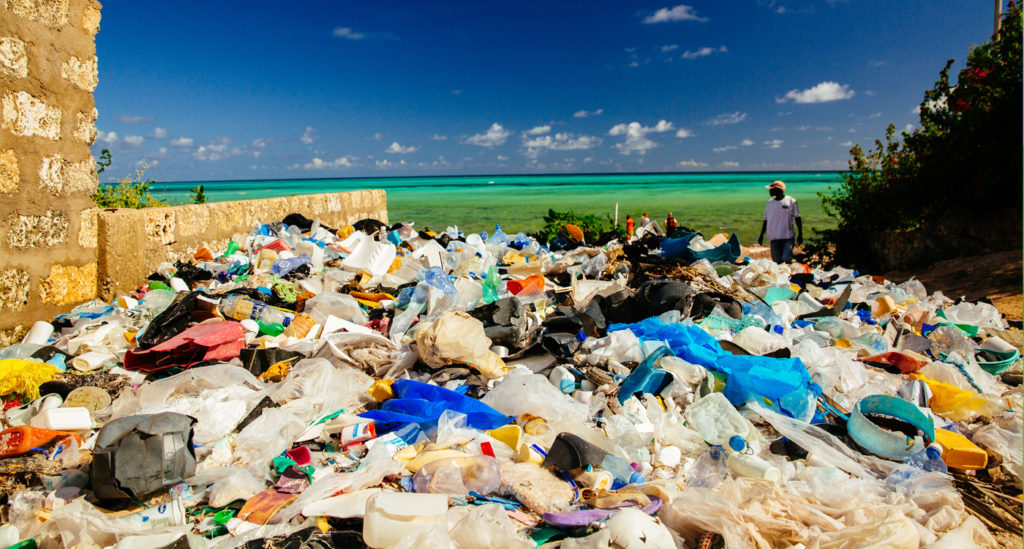 マイクロプラスチック問題をわかりやすく知る 人体への健康被害はあるのか 疲れた時にはまわれ右
